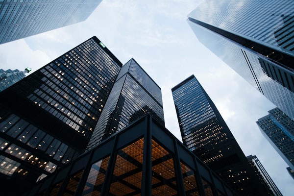 Business Taxation